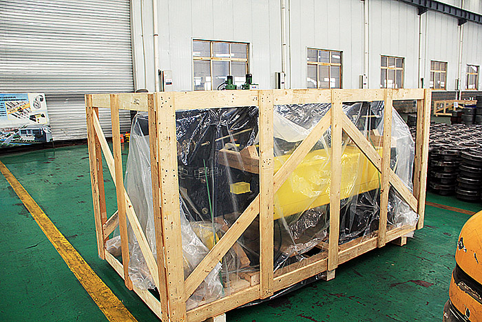 European type electric hoist delivered to Tunisia